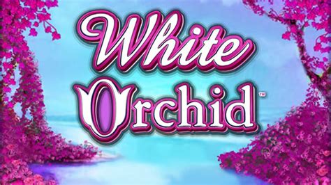 play white orchid slots online free|White Orchid Online Slot .